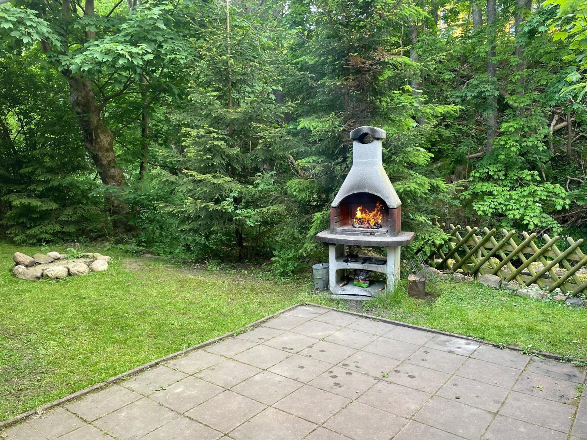 Holiday Home Hexenstieg In The Harz Mountains Elend Εξωτερικό φωτογραφία